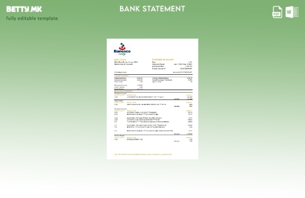 модерен стил Венецуела Банеско извод од банкарски ексел шаблон